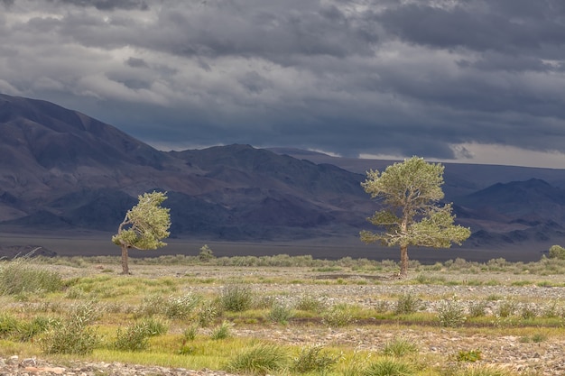 Paisagem da Mongólia. Parque Nacional Altai Tavan Bogd em Bayar-Ulgii