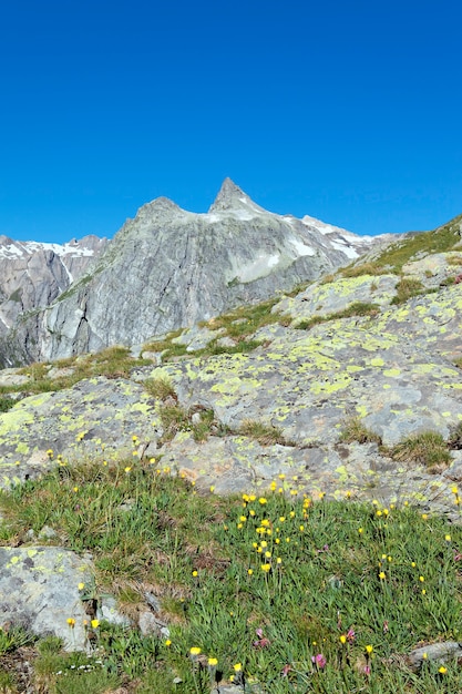 Foto paisagem da montanha alpina italiana no verão