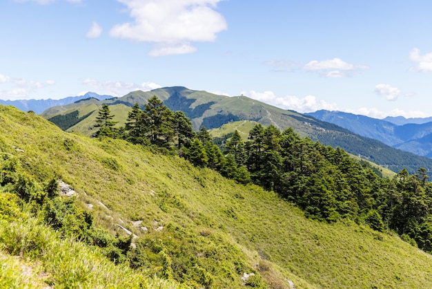 Foto paisagem da montanha verde hehuanshan