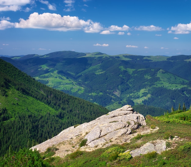 Paisagem da montanha