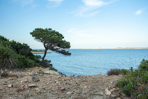 Paisagem da Sardenha na costa sul durante o verão