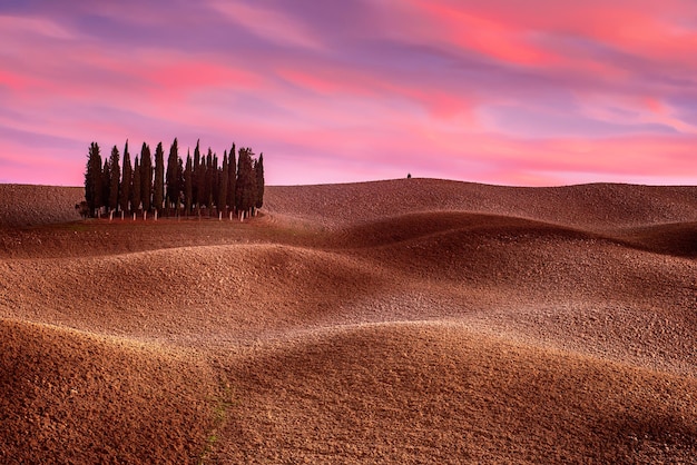 Paisagem da Toscana com cipreste