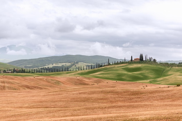 Paisagem da toscana composta por uma longa linha de ciprestes finos ao longo da entrada de automóveis, val d'orcia, itália