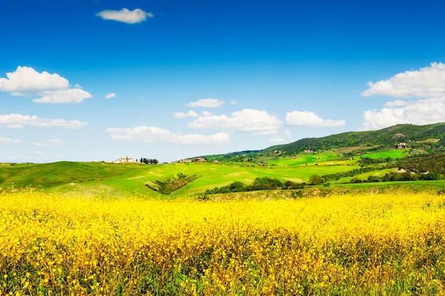 Paisagem da Toscana, Itália. Campos verdes e o céu azul.