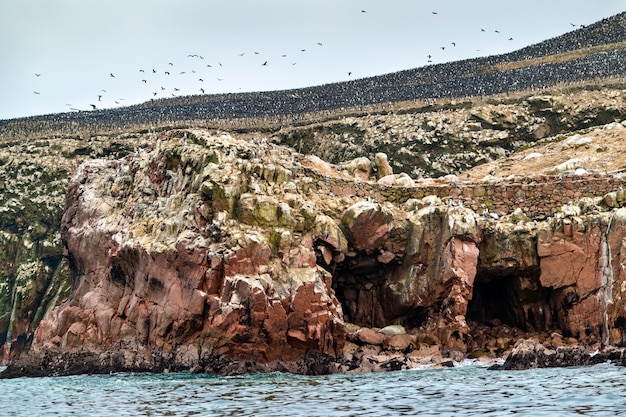 Paisagem das Ilhas Ballestas no Peru