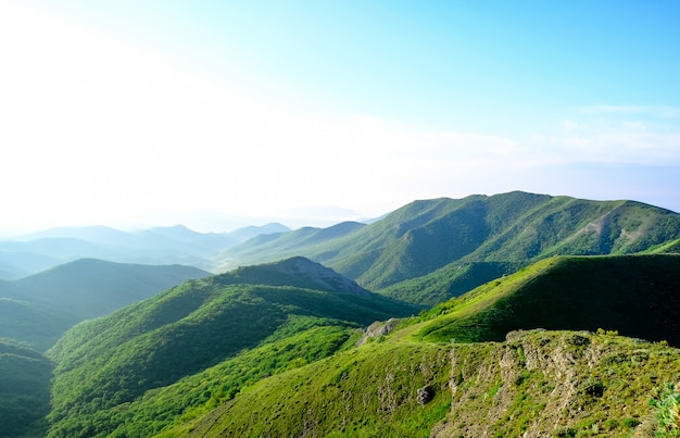 Paisagem das montanhas da Crimeia cobertas por florestas verdes no verão.