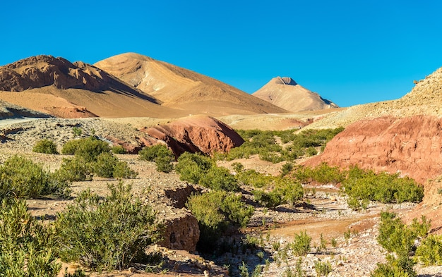 Paisagem das montanhas do Alto Atlas entre Ait Ben Ali e Bou Tharar - Marrocos, Norte da África