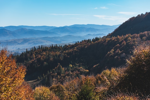 Paisagem das montanhas dos Cárpatos outono na Ucrânia