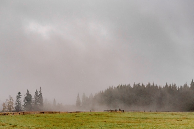 Paisagem das montanhas dos Cárpatos