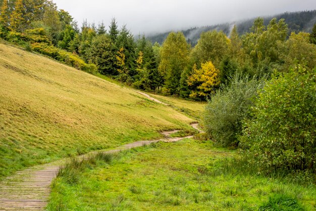 Paisagem das montanhas dos Vosges