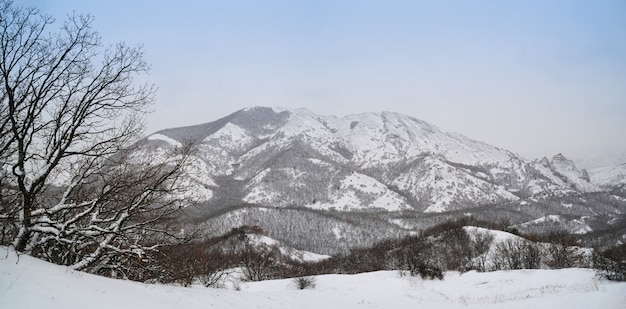 Foto paisagem das montanhas rochosas