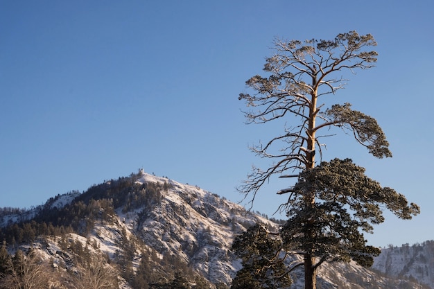 Paisagem de alta montanha de inverno