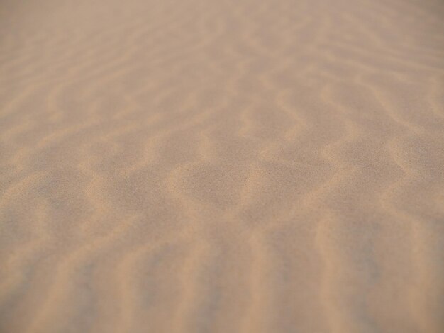 Paisagem de areia