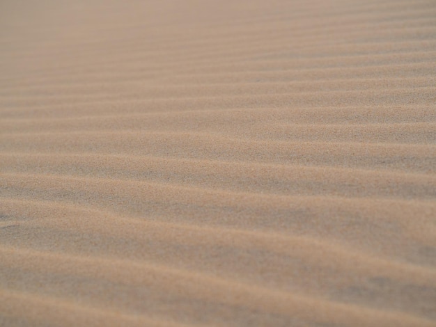 Paisagem de areia