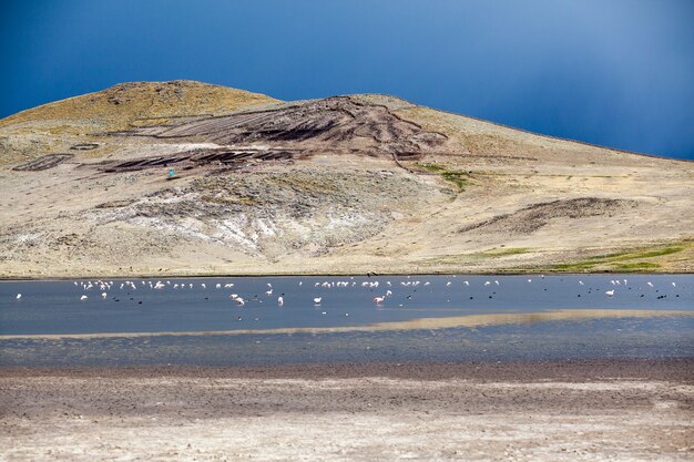 Paisagem de arequipa, peru