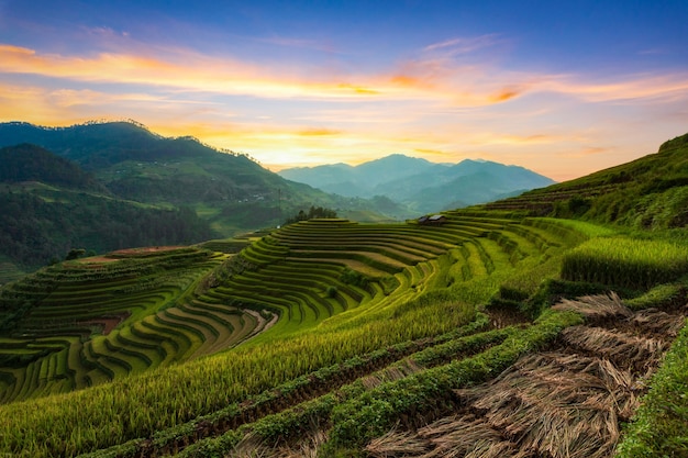 Paisagem de arrozal em socalcos de Mu Cang Chai, Yenbai, norte do Vietnã