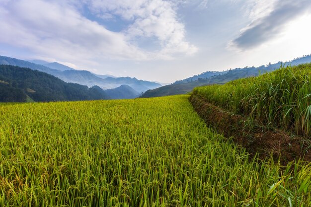 Paisagem de arrozal em socalcos de Mu Cang Chai