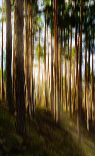 Paisagem de árvore de movimento vívido vertical com pano de fundo de abstração de vazamento de luz