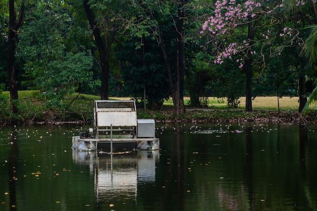 Paisagem de árvore no parque