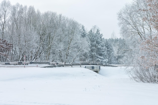 Paisagem de árvores nevadas ao longo da estrada com pequena ponte