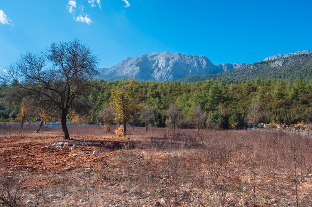 Paisagem de beleza nas montanhas na Turquia