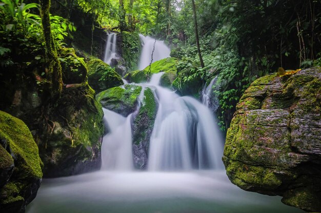 Paisagem de cachoeira na floresta profunda