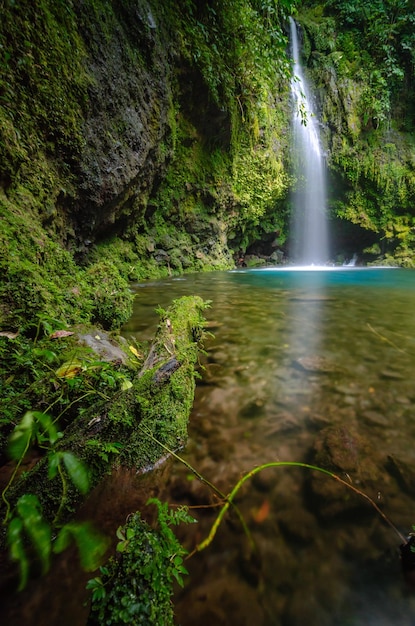 Paisagem de cachoeira na floresta profunda