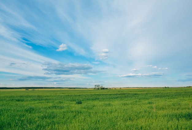 Paisagem, de, campo, com, céu, e, nuvens