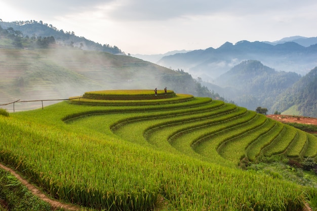 Paisagem de campo de arroz em terraços de Mu Cang Chai