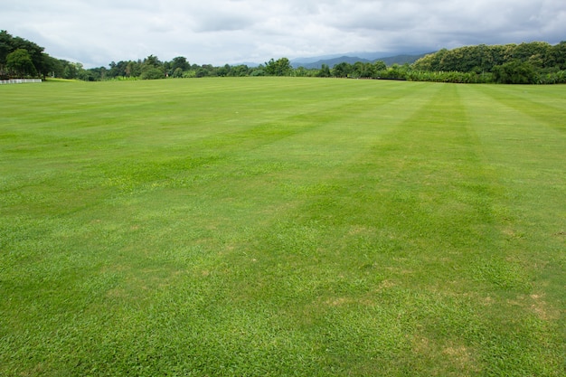 Paisagem de campo de grama verde e céu com montanha