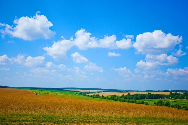 Paisagem de campos com culturas contra o céu azul