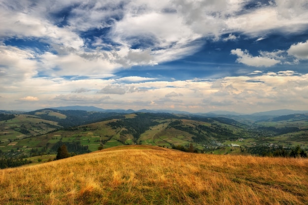 Paisagem de campos dourados e verdes