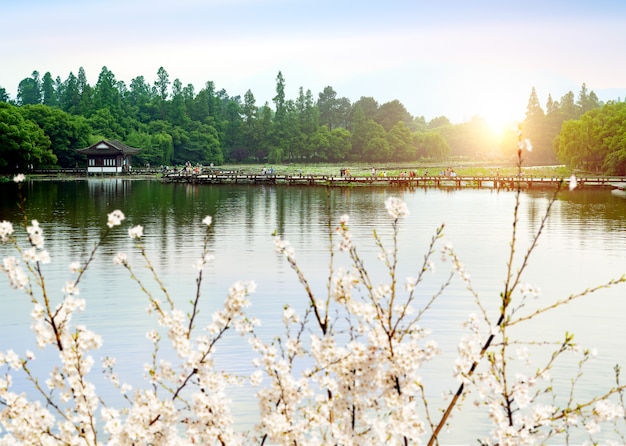 Paisagem de China Hangzhou West Lake