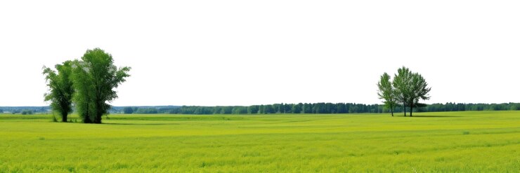 Foto paisagem de clima ensolarado de png pastagens ao ar livre