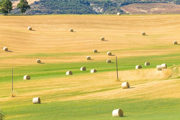 Paisagem de colinas da toscana, itália. panorama rural italiano.