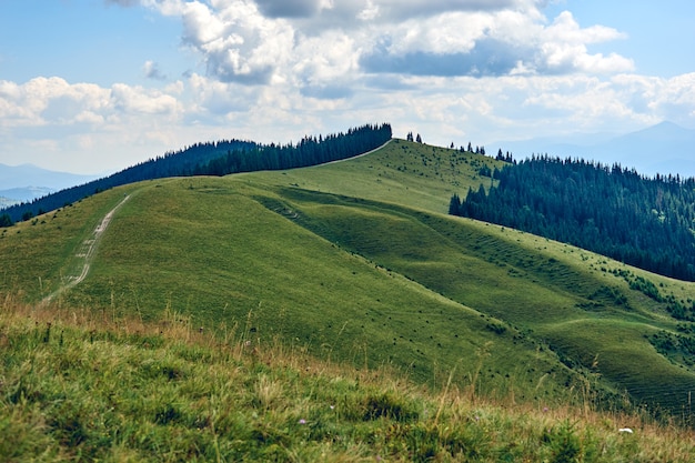 Paisagem de colinas de montanhas durante um dia ensolarado com nuvens de céu azul. Árvores escuras de outono. Floresta no verão. Caminhadas em montanhas selvagens. Conceito de viagens de aventura.