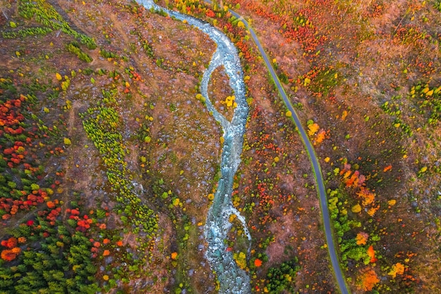 Paisagem de Eslováquia Paisagem de montanha Símbolo de pico Krivan da Eslováquia na região de Liptov das montanhas High Tatras