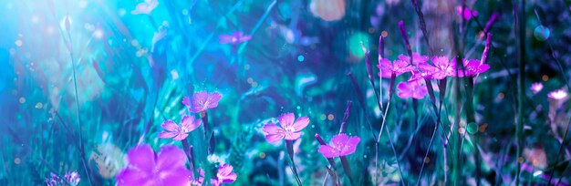 Paisagem de fantasia mágica com flor rosa desabrochando de conto de fadas.