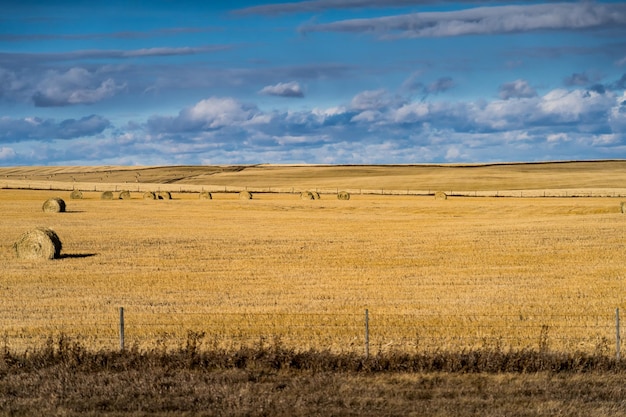 Paisagem de fazenda no inverno com árvores e um céu nublado