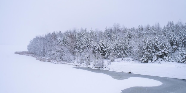 Paisagem de férias de inverno Vista dramática de abetos vermelhos cobertos de neve em dia gelado Papéis de parede de fotos Fabulosa imagem da natureza Feliz Ano Novo e cartão de feliz natal Copiar espaço