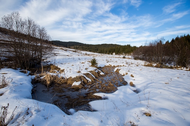 Paisagem de floresta com neve no inverno