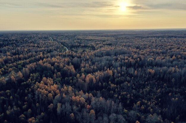 Paisagem de floresta de outono, vista de um drone, fotografia aérea vista de cima no parque de outubro