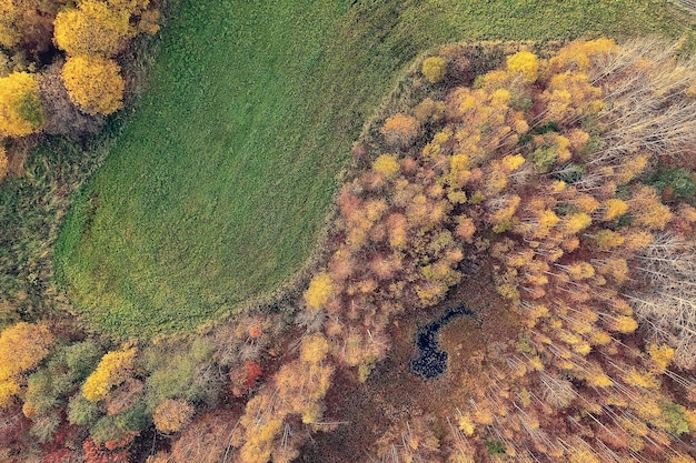 paisagem de floresta de outono, vista de um drone, fotografia aérea vista de cima no parque de outubro