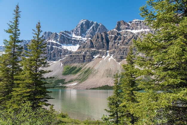 Paisagem de floresta do canadá com grande montanha ao fundo