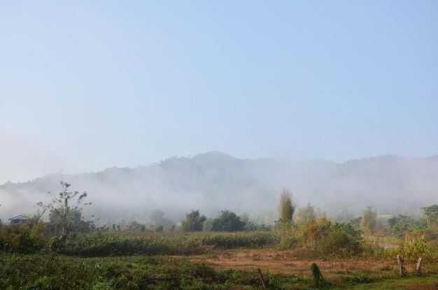 Paisagem de floresta e montanha no horário da manhã na aldeia de Ban Bo Kluea no distrito de Bo Kluea de Nan Tailândia