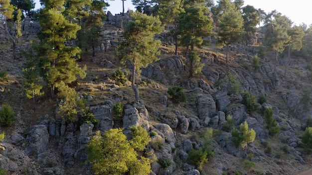 Paisagem de formações rochosas e vista verde da floresta mediterrânea do drone bela montanha natu