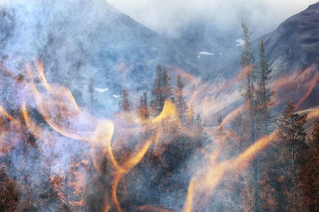 paisagem de fundo de incêndio florestal, fogo abstrato e fumaça na floresta, árvores secas estão queimando