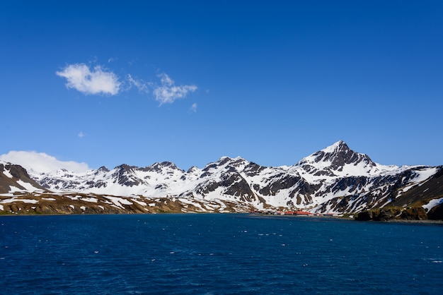 Paisagem de Geórgia do Sul Grytviken