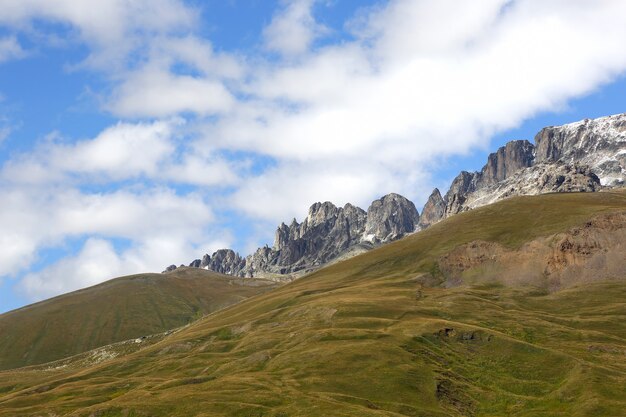 Paisagem de grama verde e montanhas nevadas