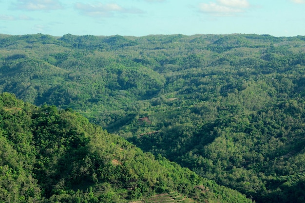 Paisagem de Green Forest Hills na Indonésia